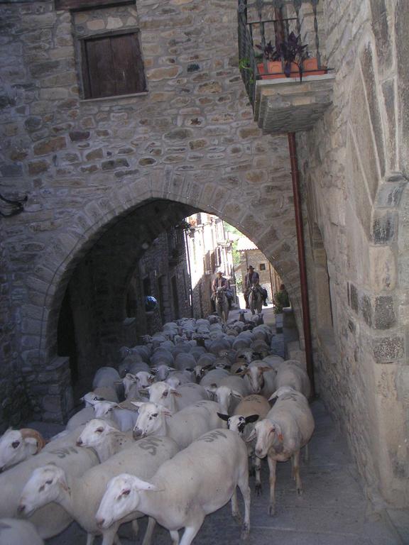 דירות La Puebla de Roda El Prau De Vidal I מראה חיצוני תמונה